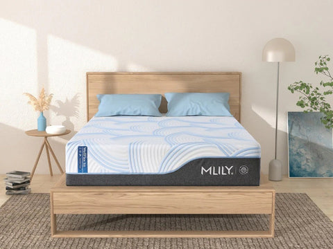 Wellflex ICE 3.0 Memory Foam Mattress