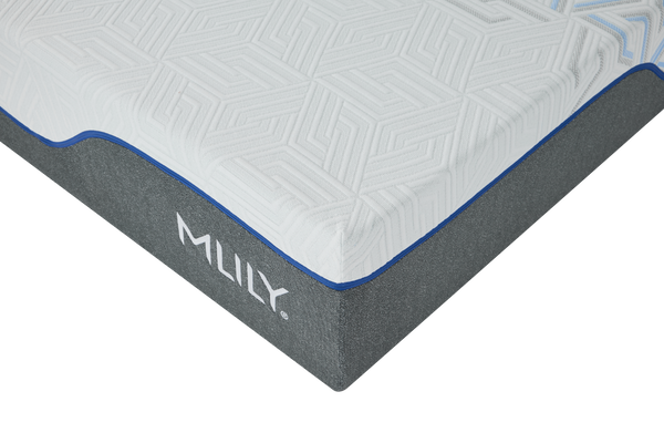 Chiro Pro 1.0 HYBRID Memory Foam Mattress