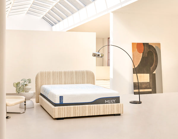 Chiro Pro 1.0 HYBRID Memory Foam Mattress