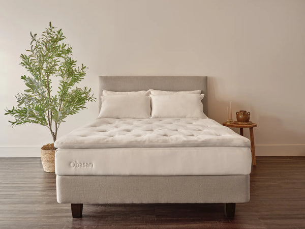 Classic 8" Organic Rubber Mattress