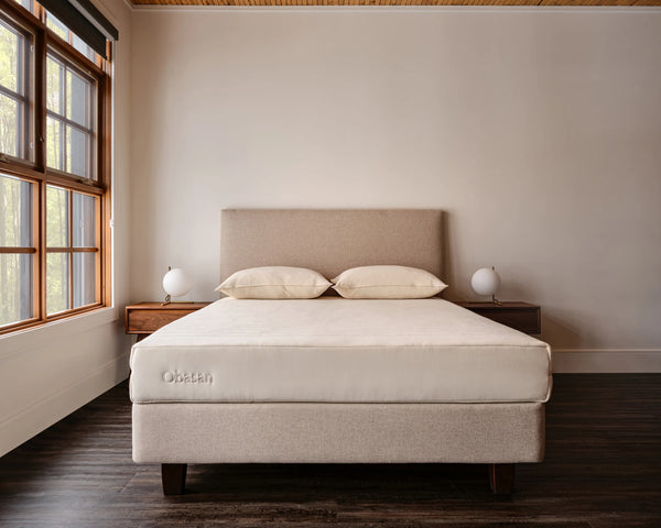 Essential 8" Organic Rubber Mattress