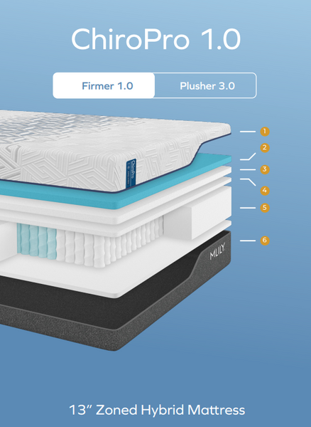 Chiro Pro 1.0 HYBRID Memory Foam Mattress