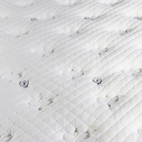 Van Pelt Plush Euro-Top Mattress